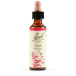 elm bach orig 20ml