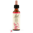 elm bach orig 20 ml
