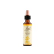 gorse bach original 20 ml