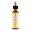 gorse bach orig 20ml