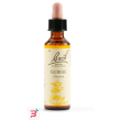 gorse bach orig 20 ml