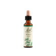 holly bach original 20ml