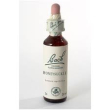fiori di bach originali honeysuckle gocce orali omeopatiche (20 ml)