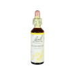 hornbeam carpino bianco bach original 20 ml - schwabe