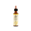 hornbeam bach original 20ml
