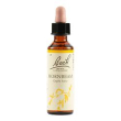 hornbeam bach orig 20ml