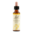 hornbeam fiori di bach originali 20 ml