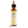 hornbeam bach orig 20 ml