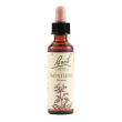 impatients bach orig 20ml
