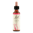 bach 19 larch gtt 20ml