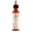 schwabe pharma italia larch bach orig 20 ml