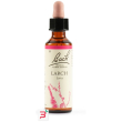 larch bach orig 20 ml
