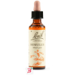 mimulus bach orig 20 ml