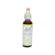 mustard senape selavatica bach original flower essences gocce 20 ml - schwabe