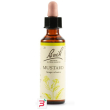 mustard bach orig 20 ml