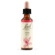 oak fiori di bach original 20ml