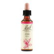oak bach orig 20ml