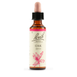 schwabe fiori di bach 22 oak gocce 20 ml