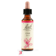oak bach orig 20 ml