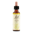 olive bach orig 20ml
