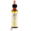 olive bach orig 20 ml