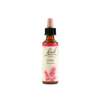pine bach original 20ml