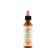 bach 25 redchestnut 20ml