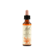 red chestnut bach orig 20ml 20 ml gocce orali