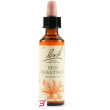 red chestnut bach orig 20 ml