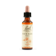 rock rose bach original flower essences 20 ml - essenza floreale per lo stress