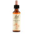 rock rose bach orig 20ml