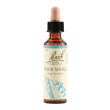 bach 27 rock water gtt 20mllkr