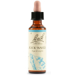 rock water bach orig 20ml