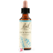 rock water bach orig 20 ml