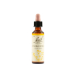 sclerantus bach original 20 ml