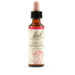 schwabe - bach 29 star bethlehem 20 ml