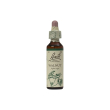 walnut 20 ml - essenza di fiori di bach