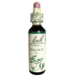fiori di bach originali walnut gocce orali omeopatiche (20 ml)