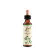 walnut bach orig 20 ml