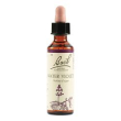 water viol bach orig 20ml