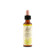 bach 35 white chestnut 20ml