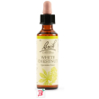 white chest bach orig 20 ml