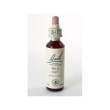 wild oat 36 bach gocce 20 ml - integratore per la chiarezza interiore