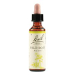 wild rose bach orig 20ml