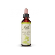 wild rose fiori di bach original rimedio fitoterapico 20 ml