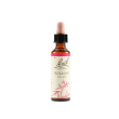 willow bach original 20 ml