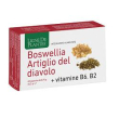 boswellia artiglio diavol60cps
