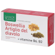 boswellia artiglio diavol60cps 60 pz capsule