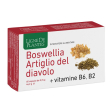 boswellia artiglio diavol 60cp