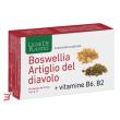 boswellia artiglio diavolo vitamine b6 b2 60 capsule da 0,74 g